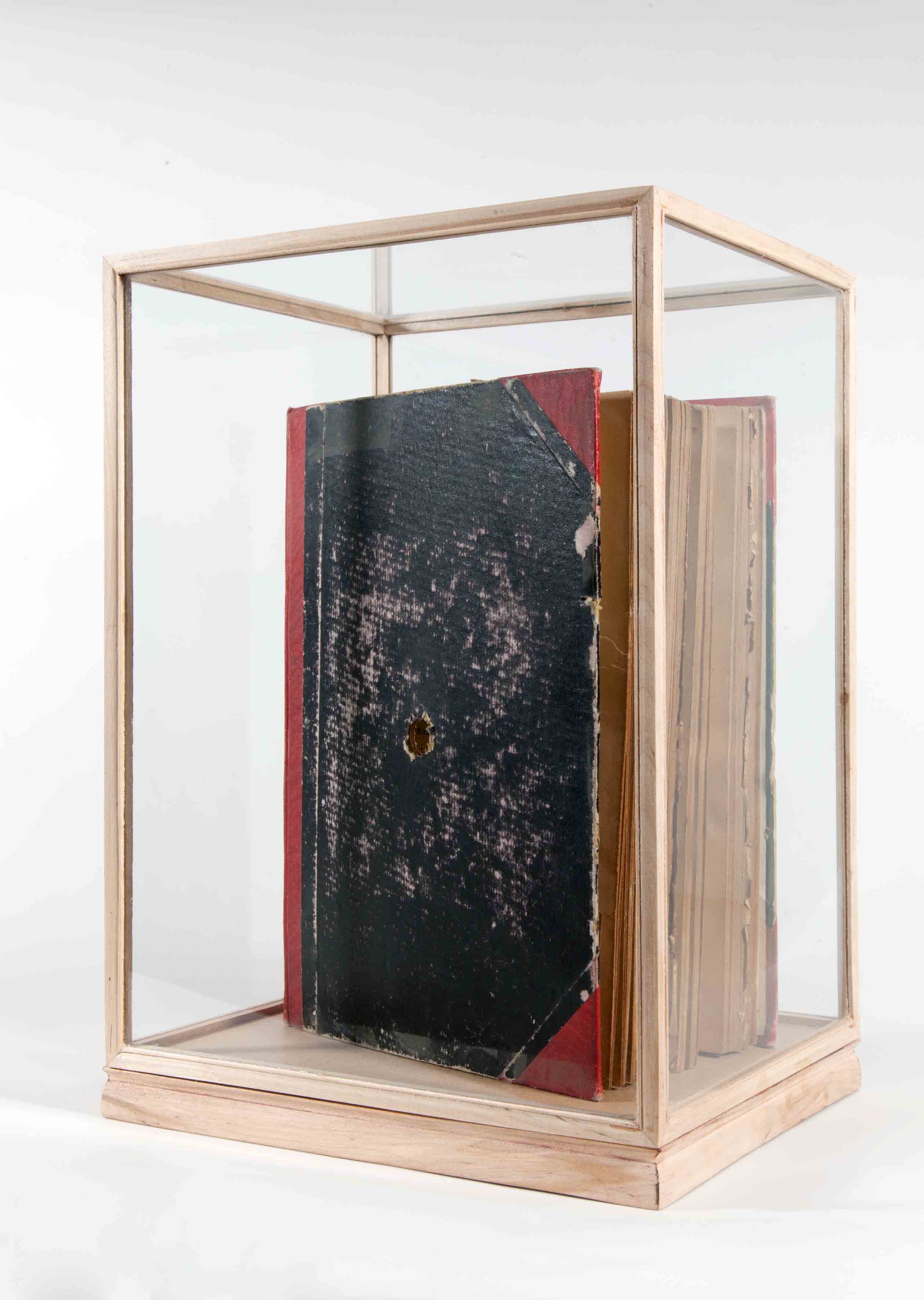  Jayne Dyer,&nbsp; Suppose... , 2013, book, 19 x 26 x 6cm 