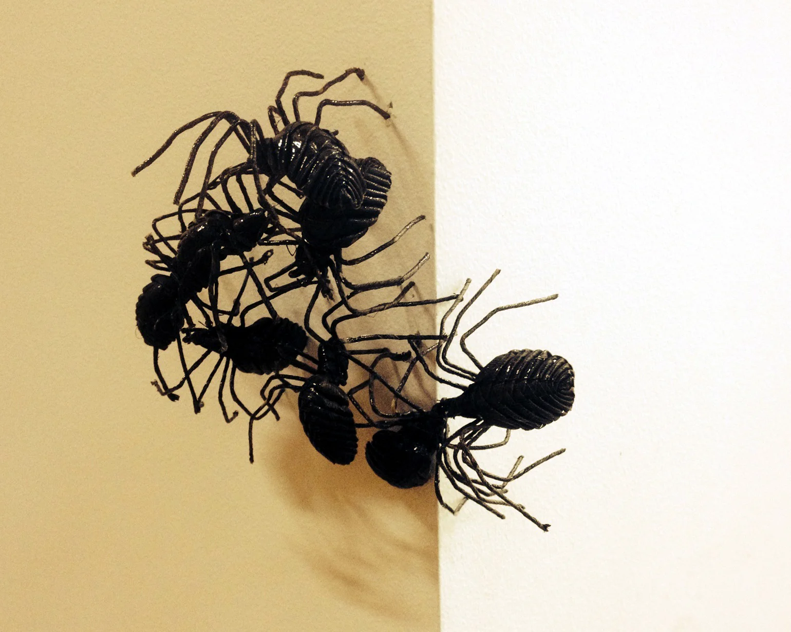 Jayne Dyer, Nest , 2013, wire and fibre, set of eight (6 x 6 x 5cm each), edition of 50