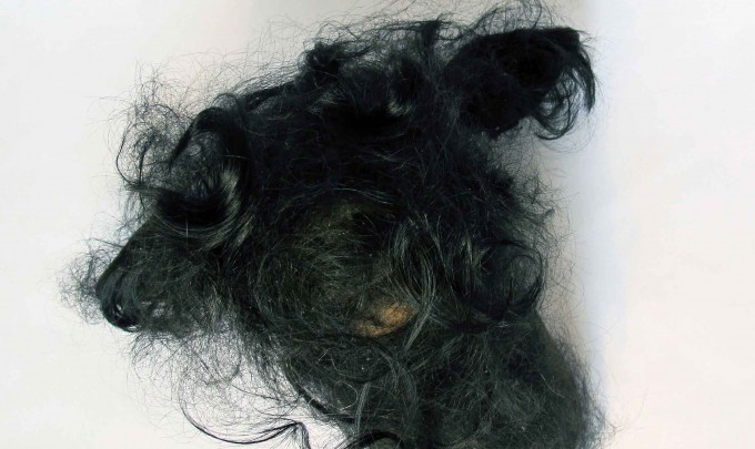 Jayne Dyer, Dear, 2013 , resin, human hair, 40 x 30 x 28cm, presented in vitrine (20 x 24 x 34cm) on display table (24 x 28 x 83cm)