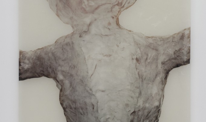 Elisabeth Weissensteiner, Early Conciousness , 2008, polyester resin, fibreglass, inkjet print on Chinese paper on glass