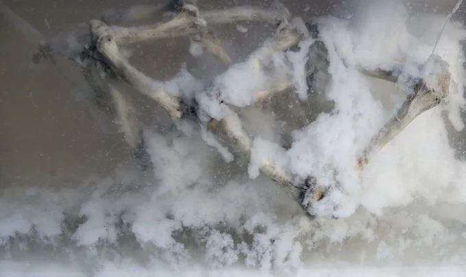 Cyrus Tang, The Fleeting Now and Eternity, 2011, C-type print, 38 x 23cm