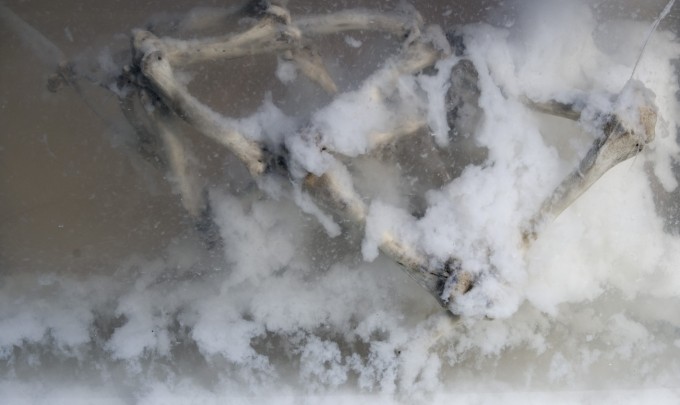 Cyrus Tang, The Fleeting Now and Eternity , 2011, C-type print, 38 x 23cm
