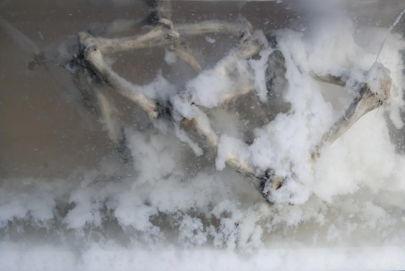 Cyrus Tang,  The Fleeting Now and Eternity , 2011, C-type print, 38 x 23cm