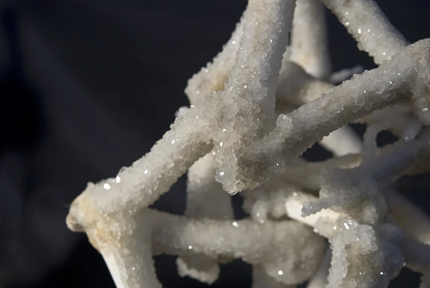 Cyrus Tang,  The Fleeting Now and Eternity , 2011, animal bones and Borax, dimensions variable, installation view