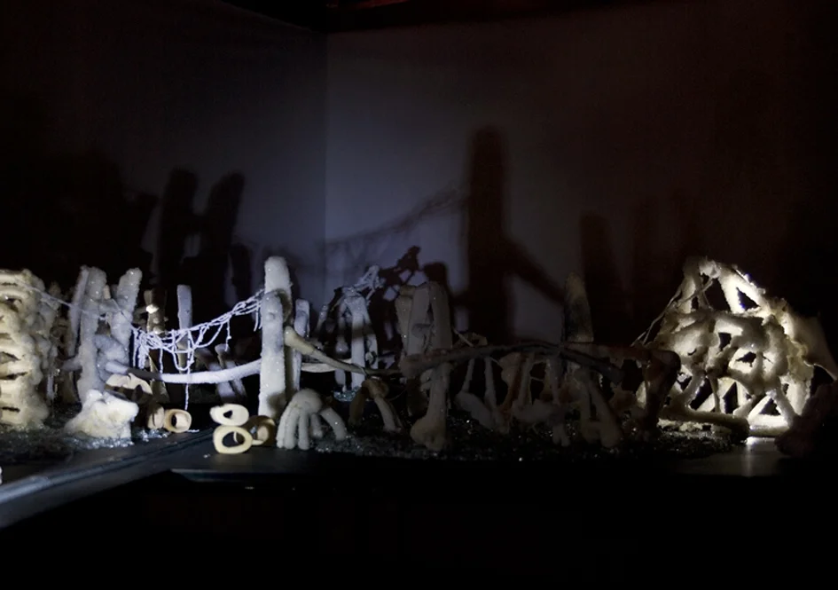Cyrus Tang,  The Fleeting Now and Eternity , 2011, animal bones and Borax, dimensions variable, installation view