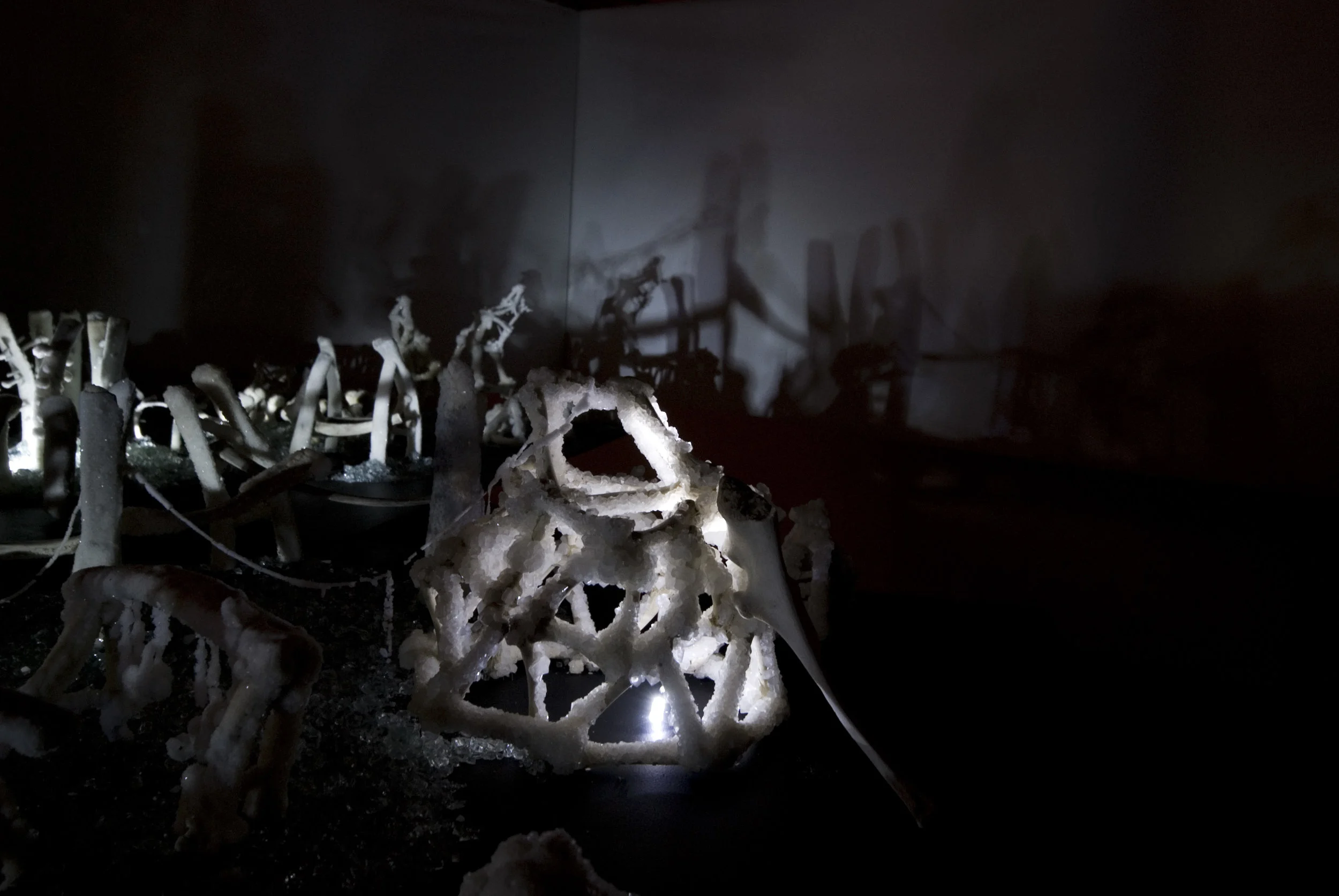 Cyrus Tang,  The Fleeting Now and Eternity , 2011, animal bones and Borax, dimensions variable, installation view
