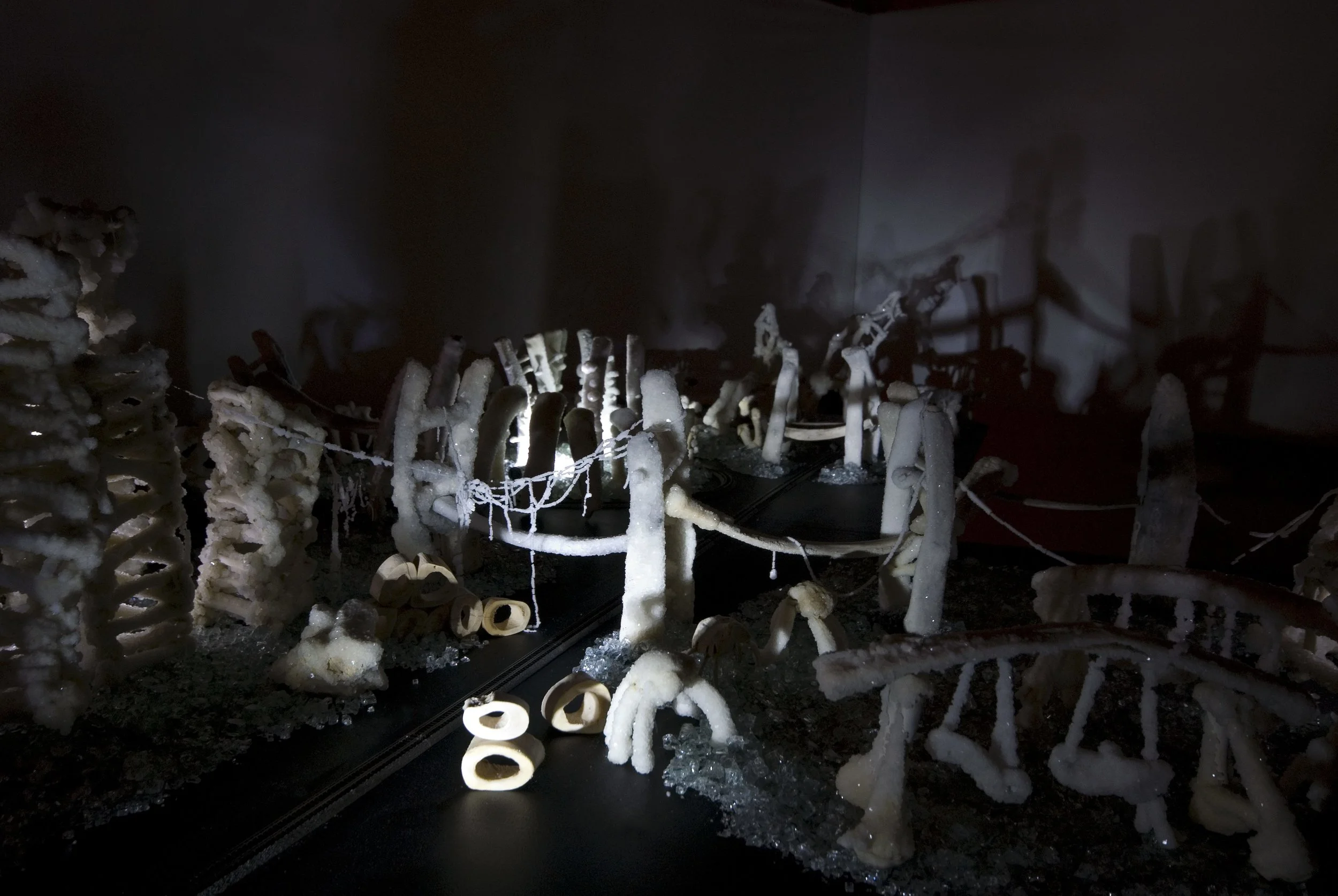 Cyrus Tang,  The Fleeting Now and Eternity , 2011, animal bones and Borax, dimensions variable, installation view
