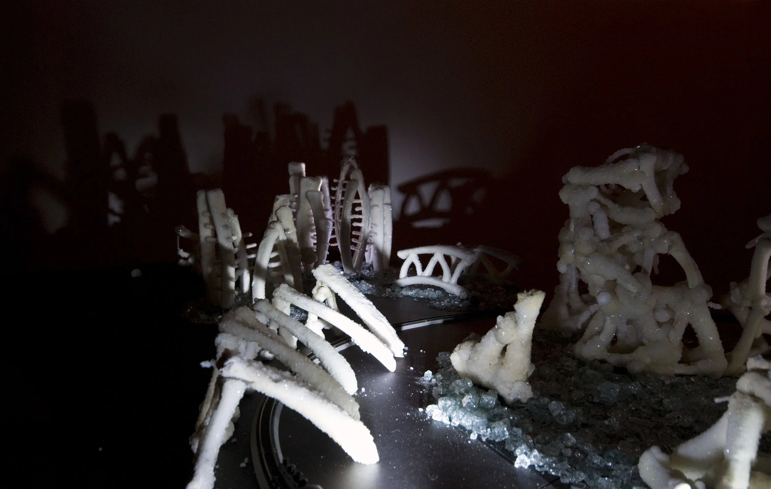 Cyrus Tang,  The Fleeting Now and Eternity , 2011, animal bones and Borax, dimensions variable, installation view