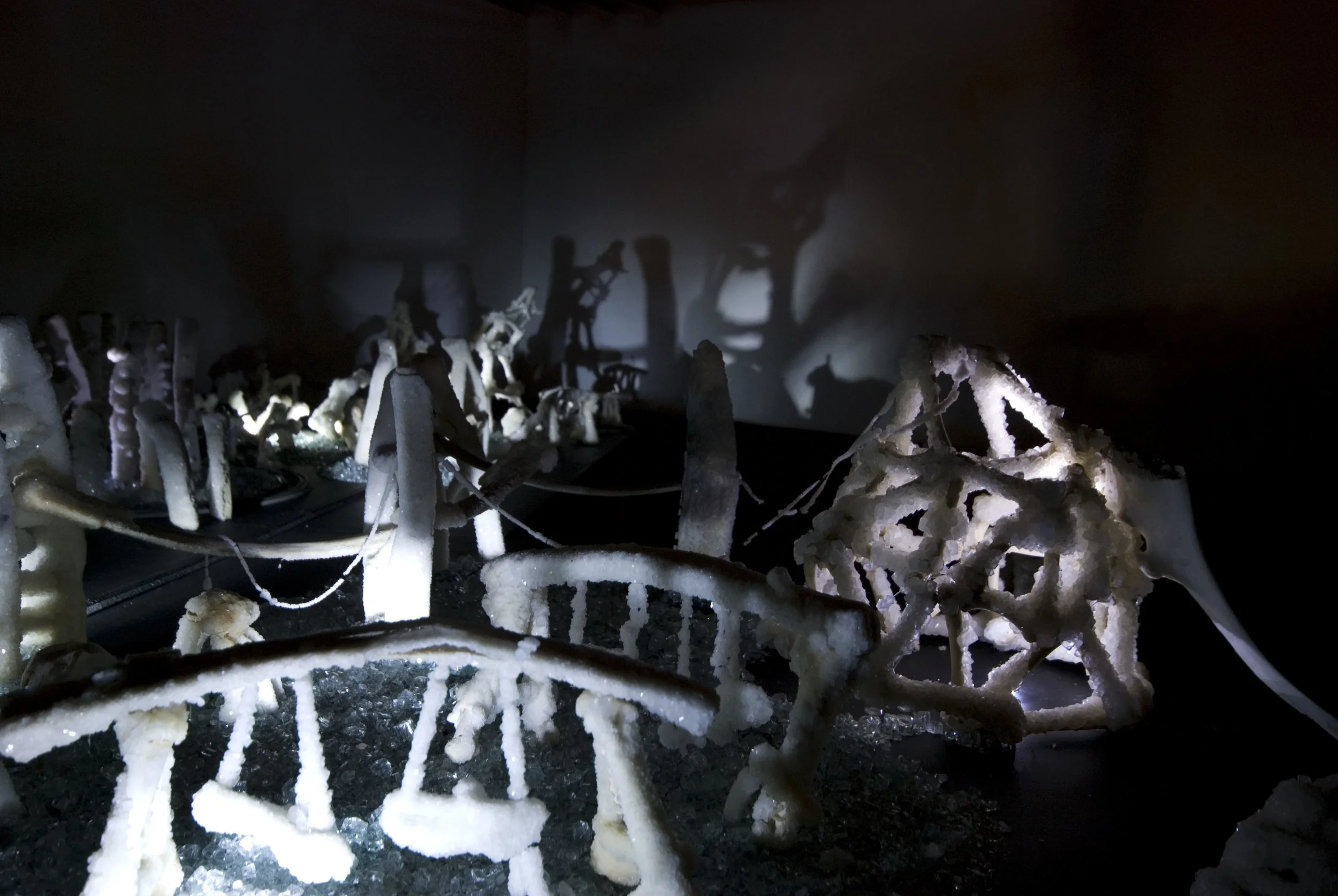 Cyrus Tang,  The Fleeting Now and Eternity , 2011, animal bones and Borax, dimensions variable, installation view