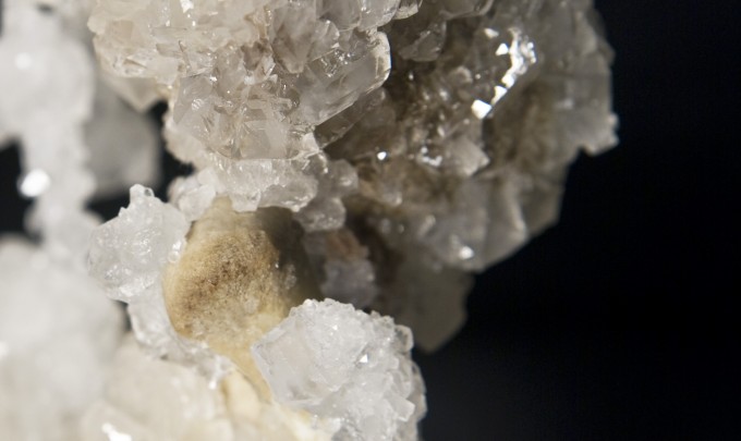 Cyrus Tang, The fleeting now and eternity , 2011, animal bones and Borax, dimensions variable, installation view