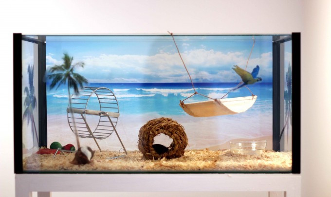 Bonnie Lane, The People's Paradise , 2011, fish tank, vinyl prints, wood, mice, 30 x 61 x 31cm