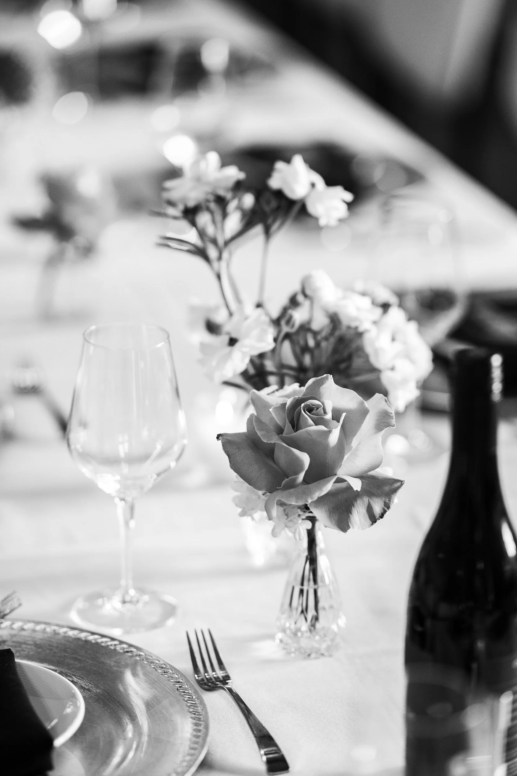 Michelle Pattee Photographer -2-19.jpg