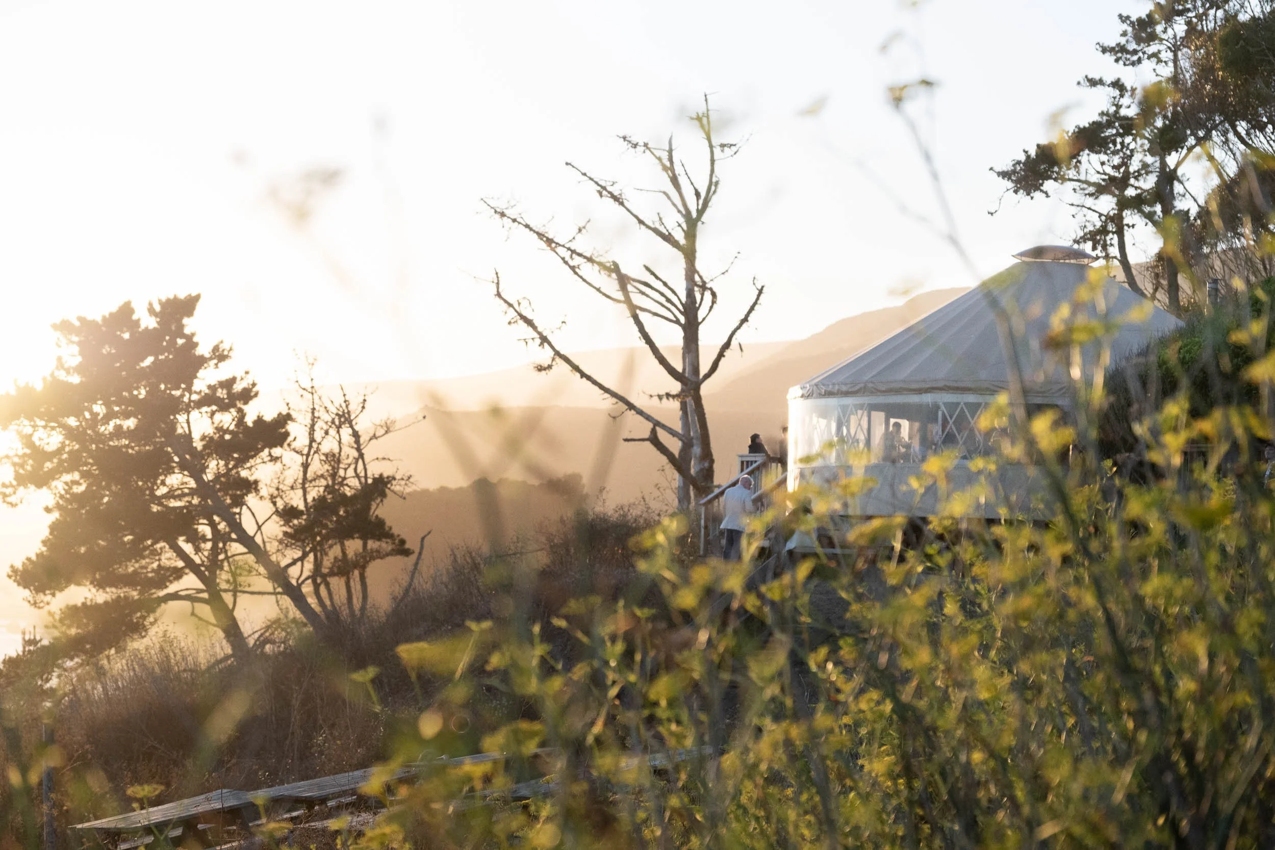 A scenic outdoor setting during sunset with a white tent, a leafless tree, and a few people near the tent, surrounded by shrubs and trees.