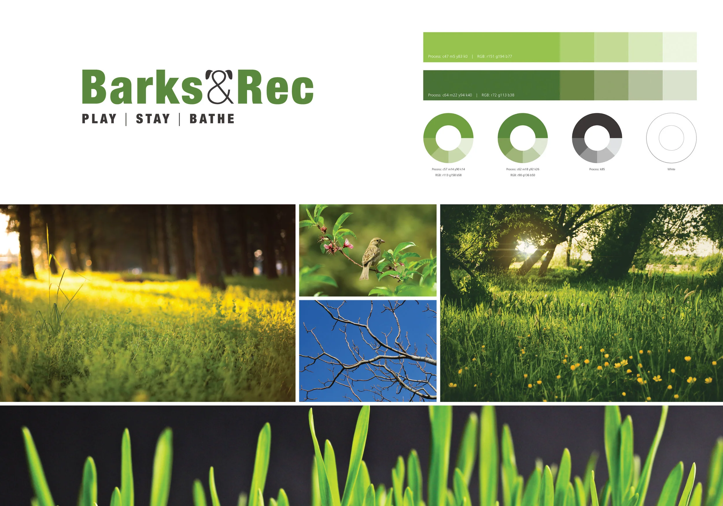 13.5Barks&Rec2-6.jpg