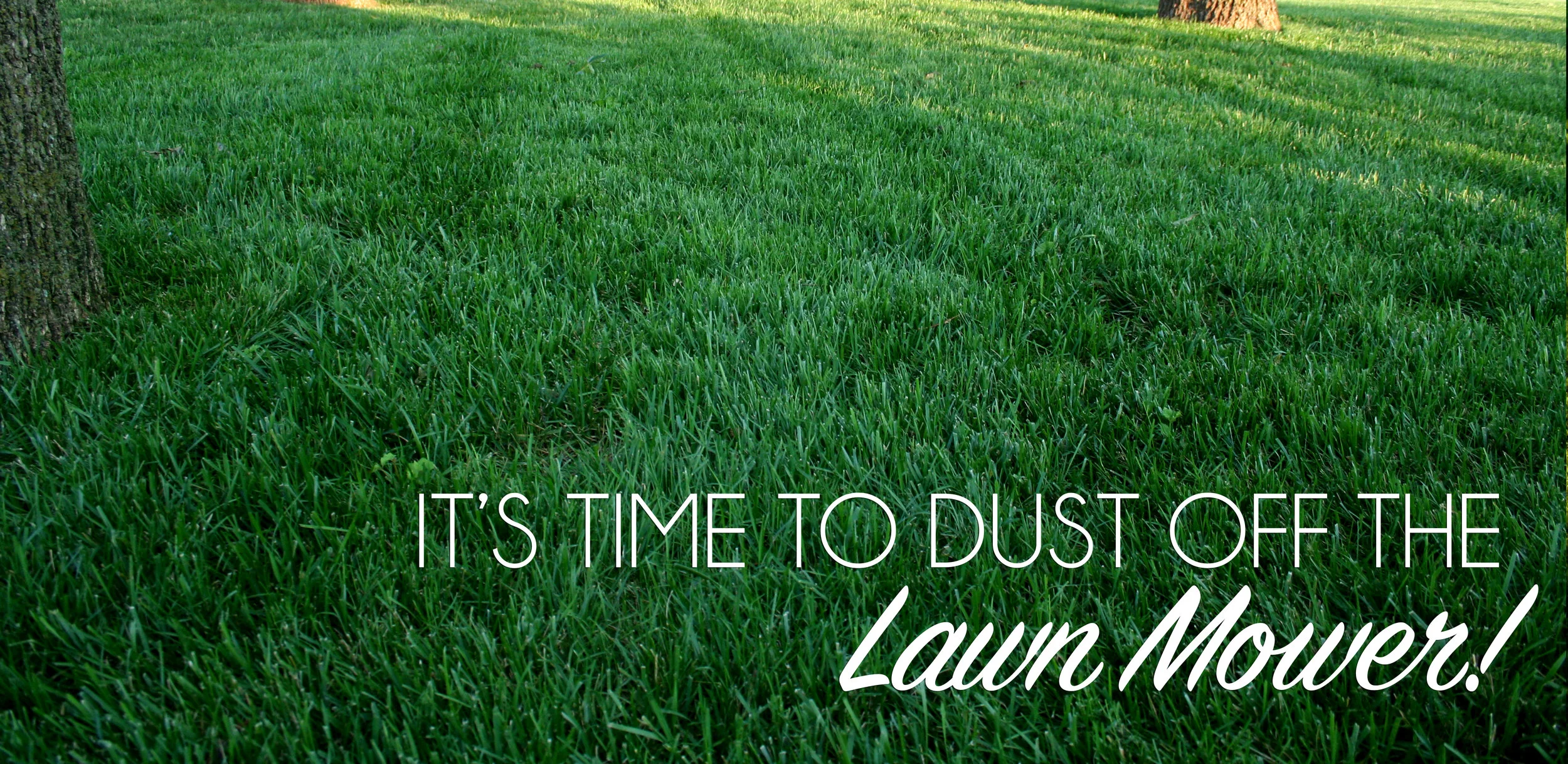 Time to Dust off the Lawn Mower.jpg