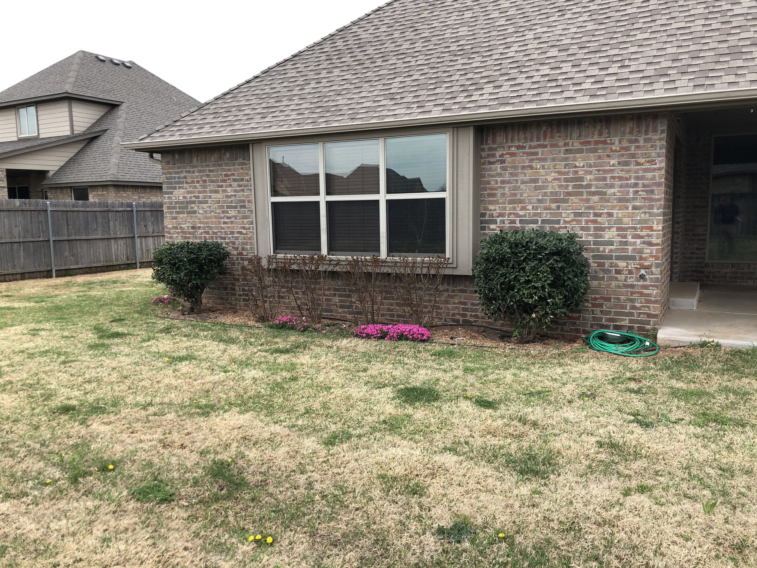 How a Bermuda lawn looks in April when no fall pre-emergent applications were made.