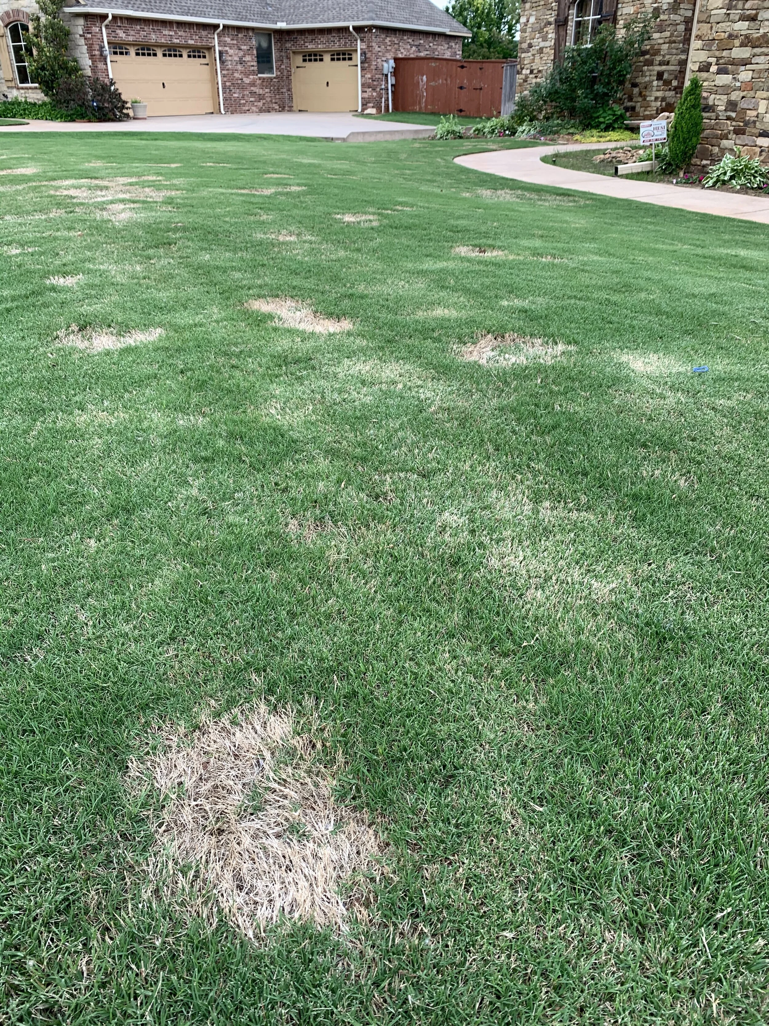 Spring dead spot damage is noticeable in the spring. If you have experienced this disease, now is the time to treat with a fungicide to stop the spread of the disease.
