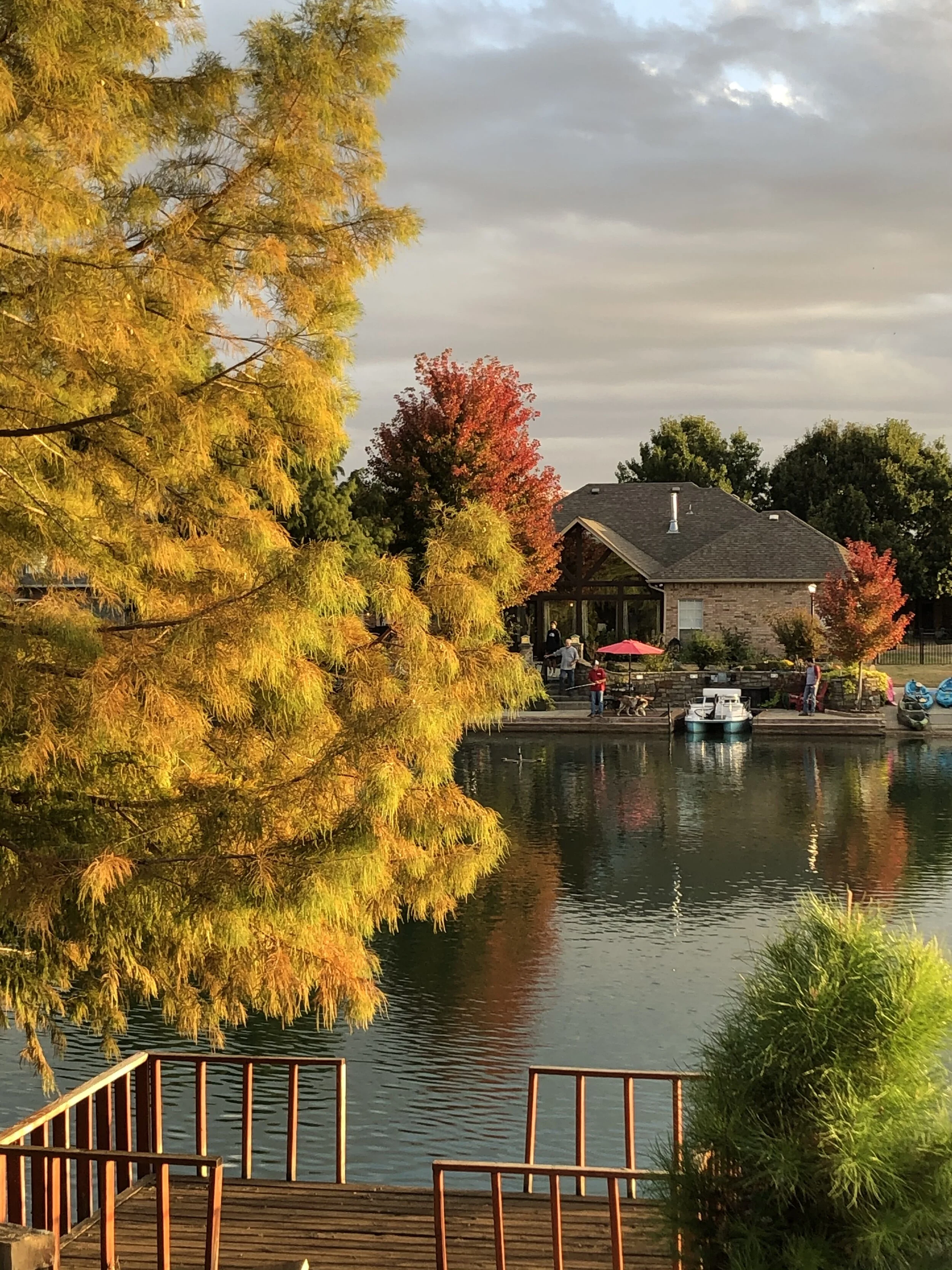 I enjoy the view of our neighbor’s maple trees every fall and I’m so thankful they added them to their landscape!