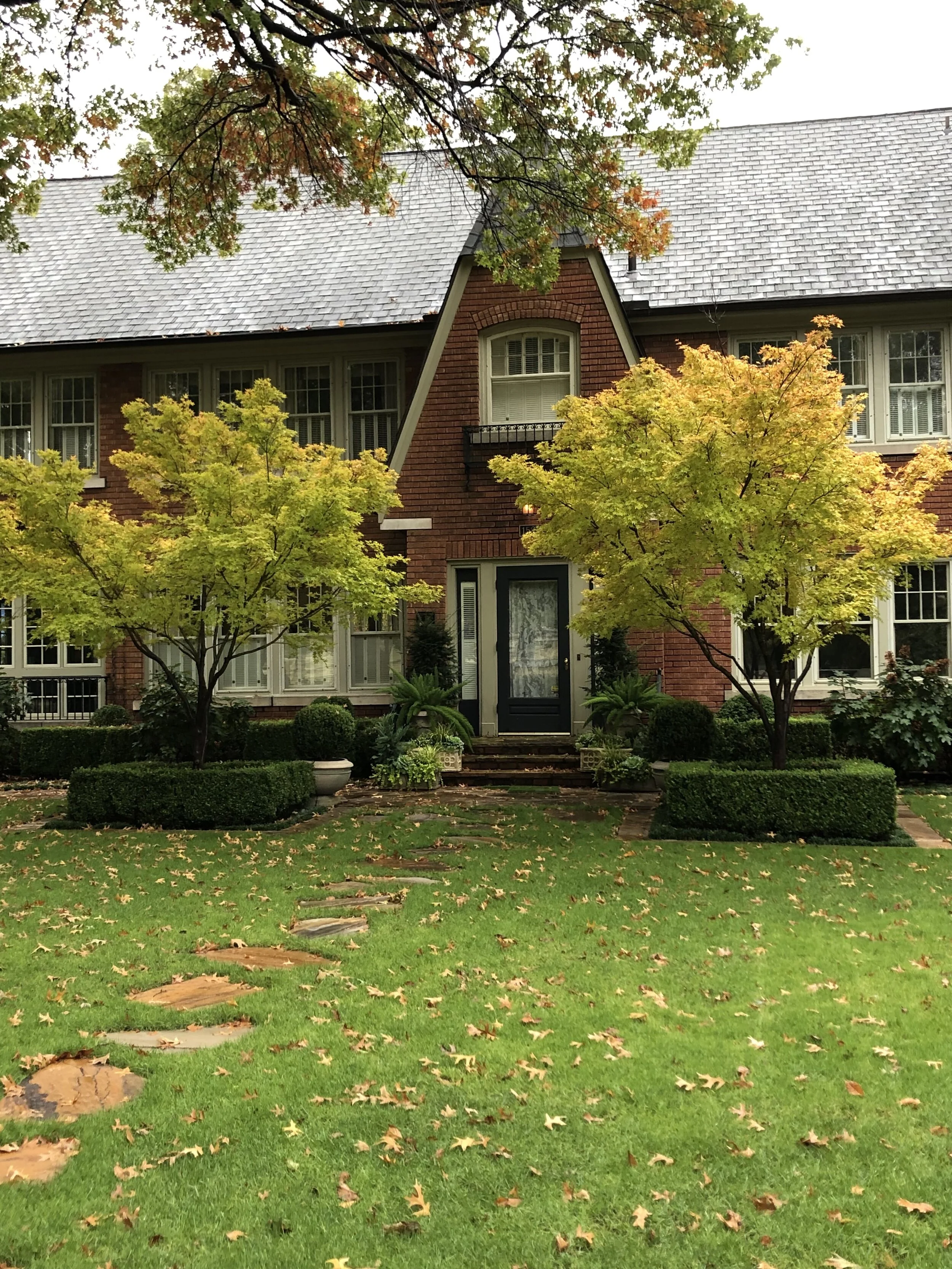 Not all Japanese Maples are red. There are many varieties, some with great yellow fall color.