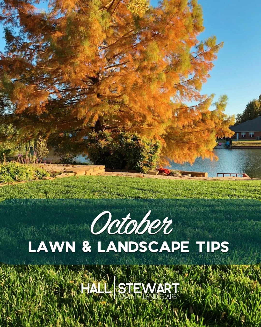 October Tips 2026.jpg