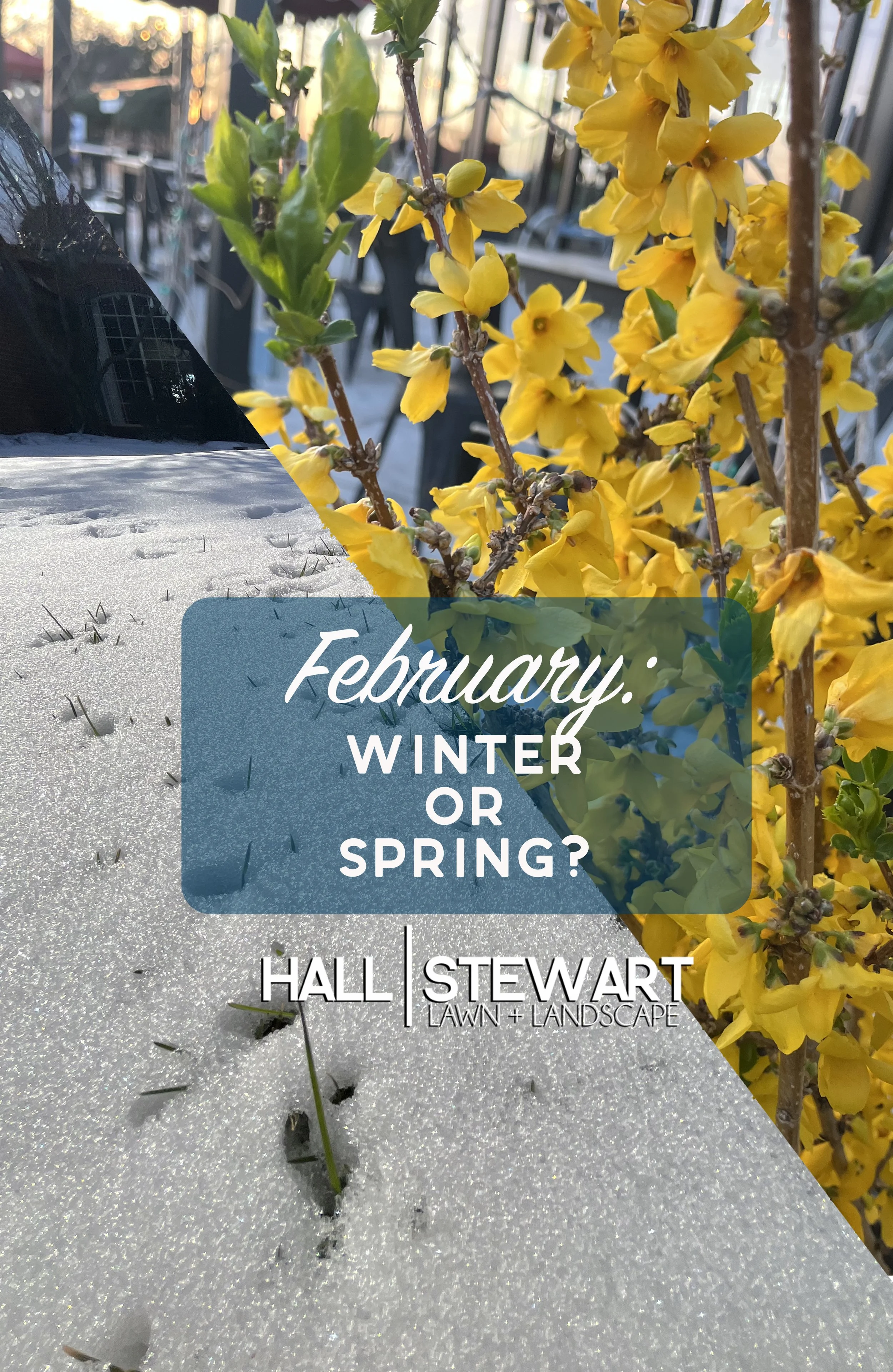 February Winter or Spring 2026.jpg