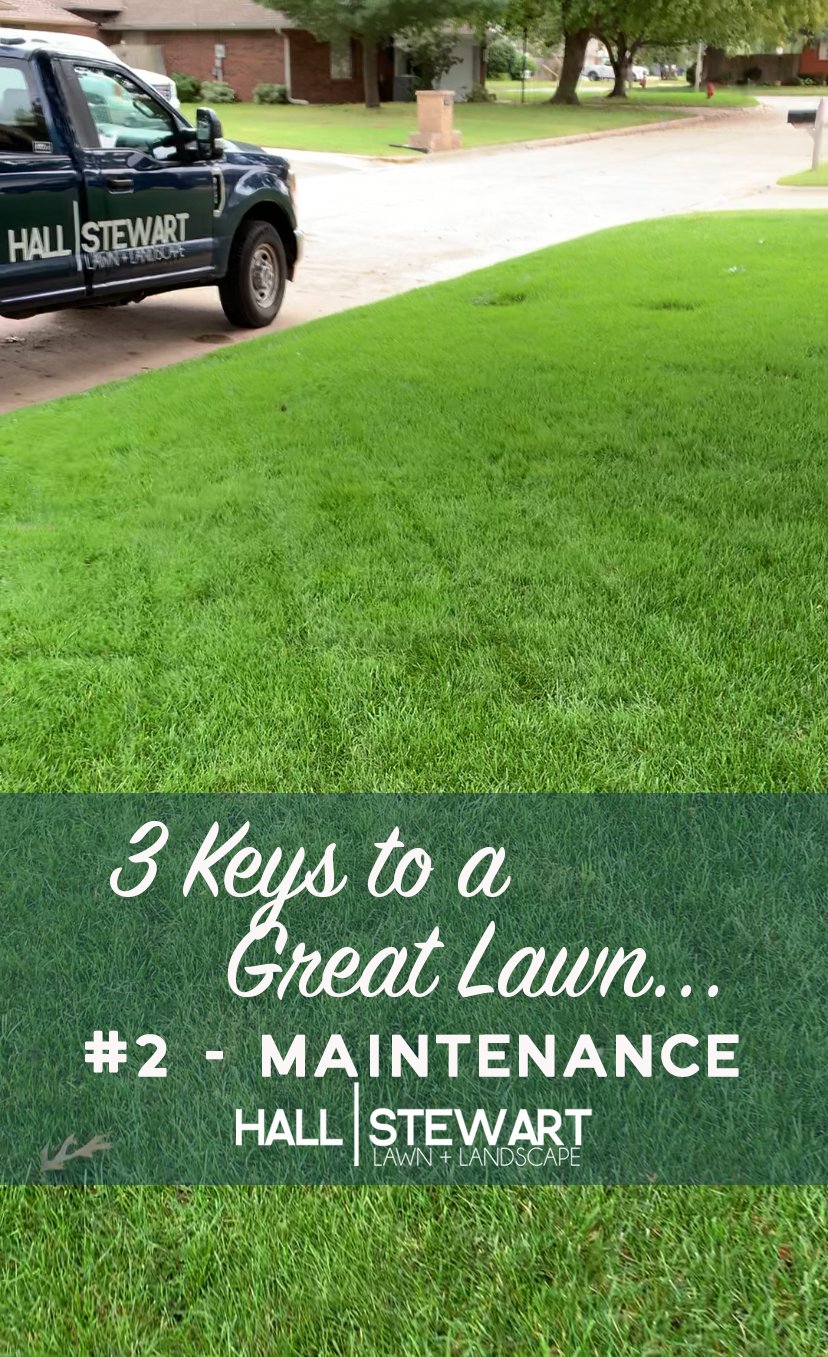 Lawn Maintenance Athens Ga