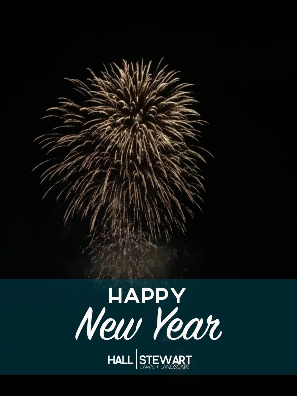 Happy New Year 2025.jpg