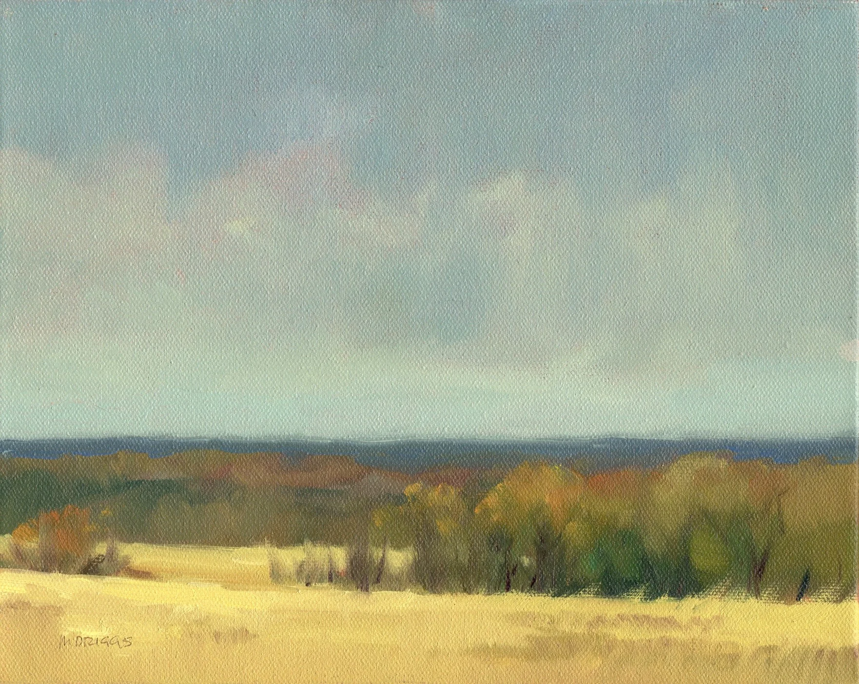 p4.jpg