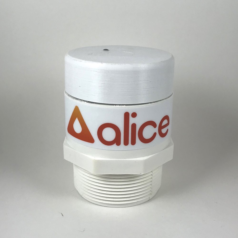 Alice+up+front.jpg