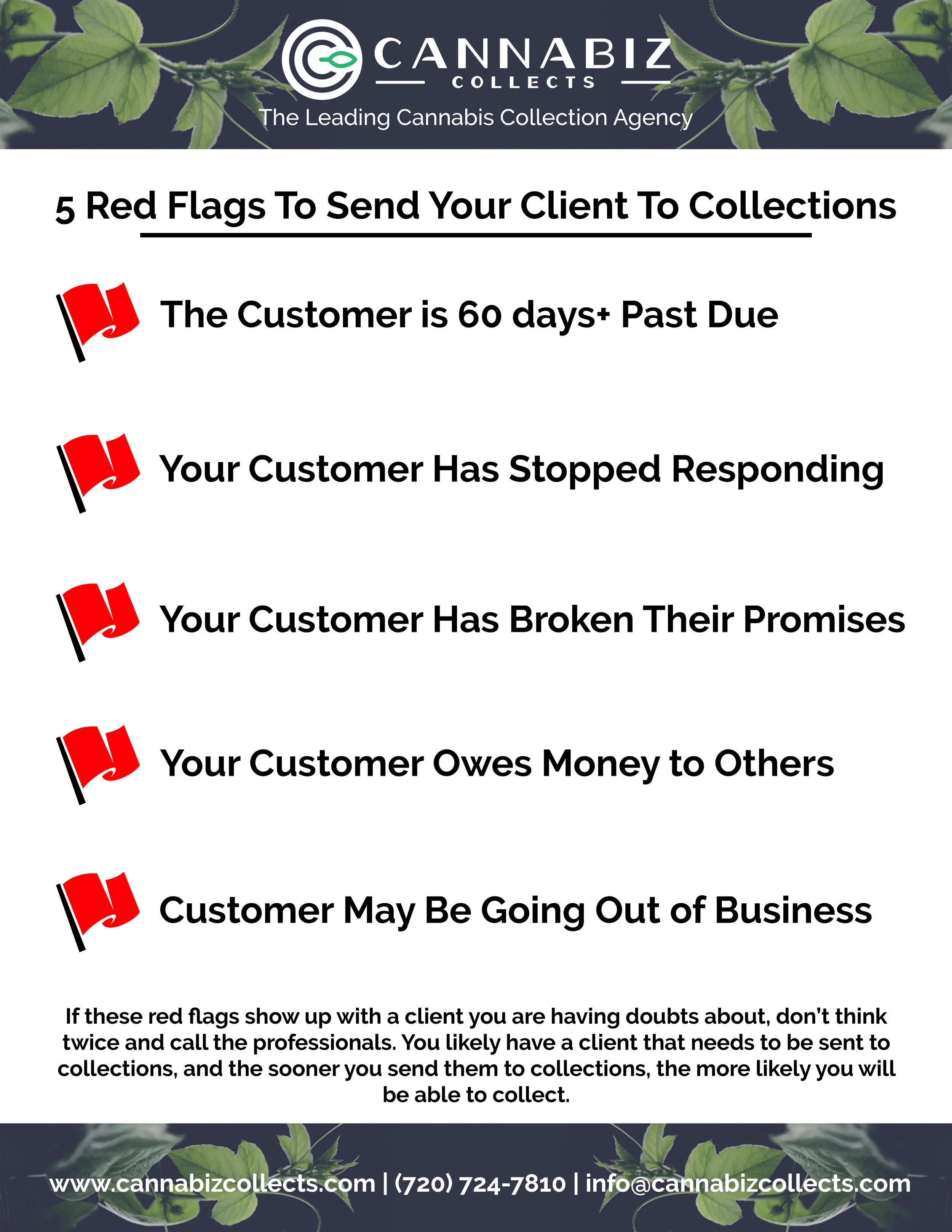 5 Red Flags.jpg