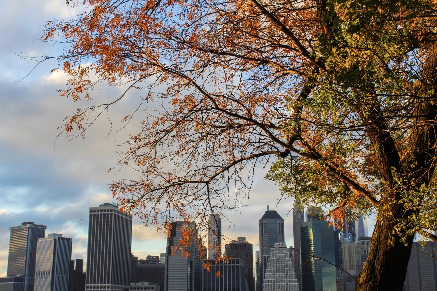 What a beautiful life.jpeg