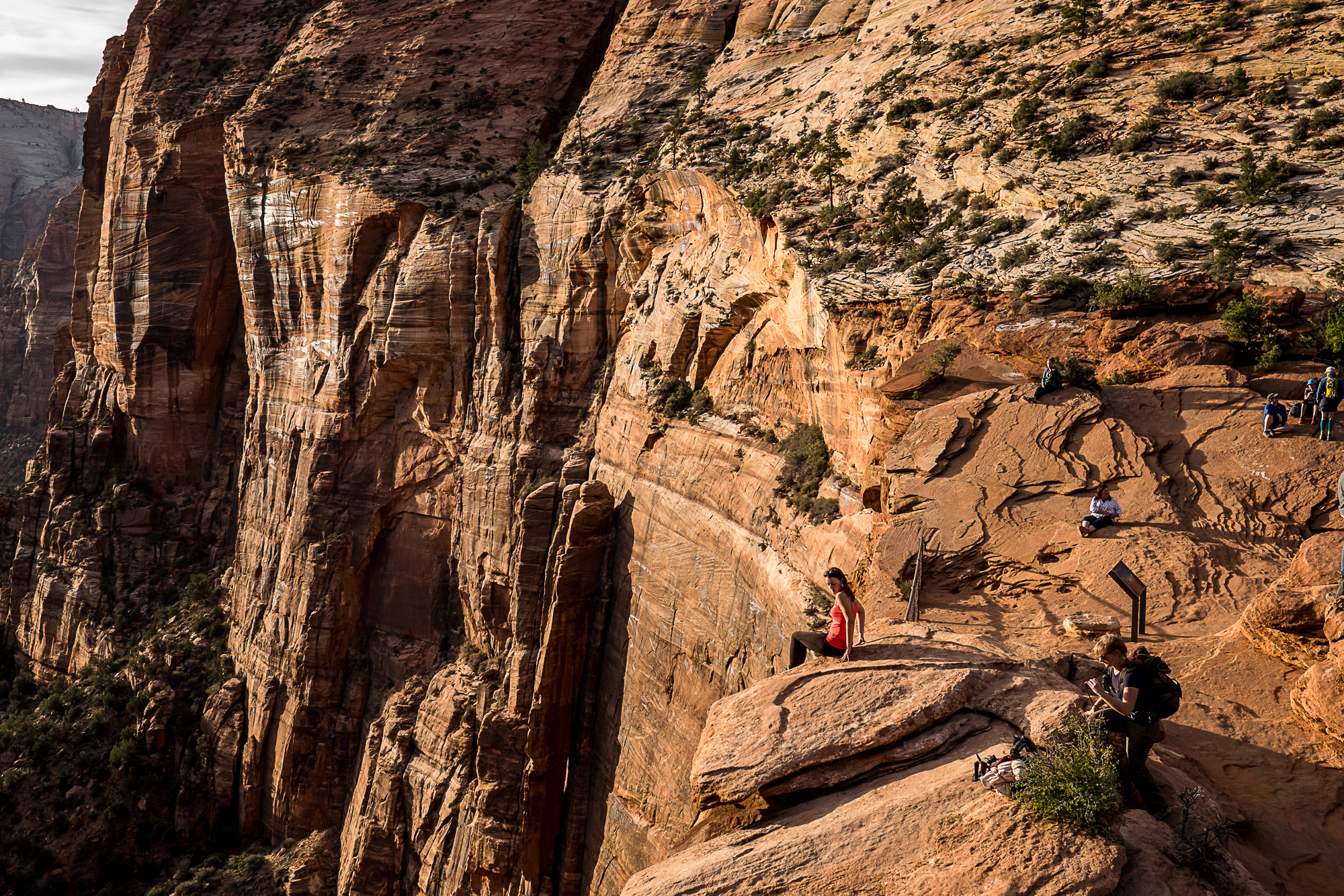Overlook, Zion National Park