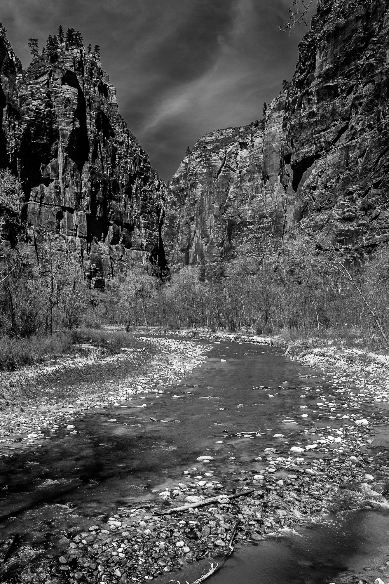 Virgin River, Zion National Park