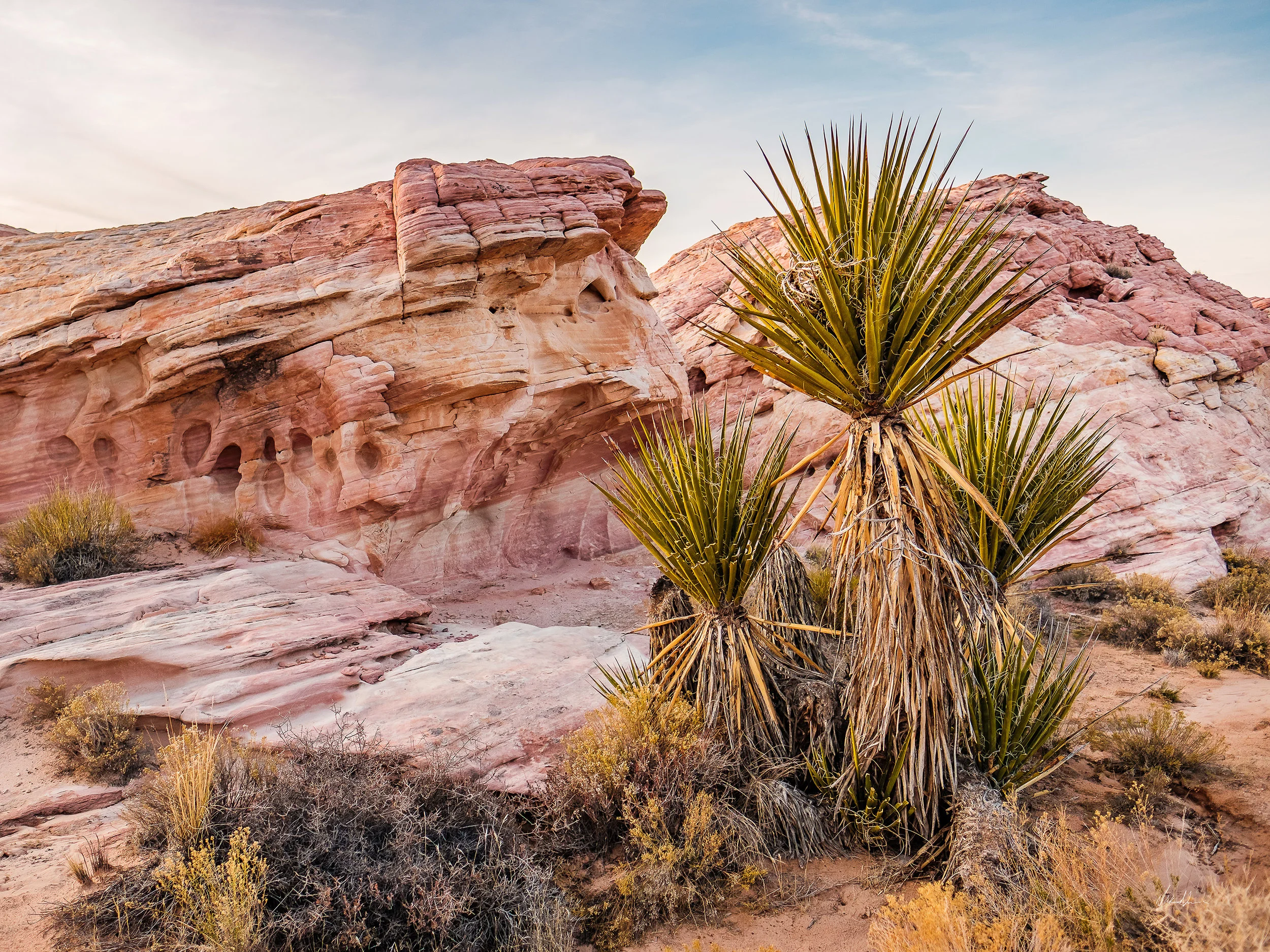 REGENERATIVE Gold Butte, NV (2018)