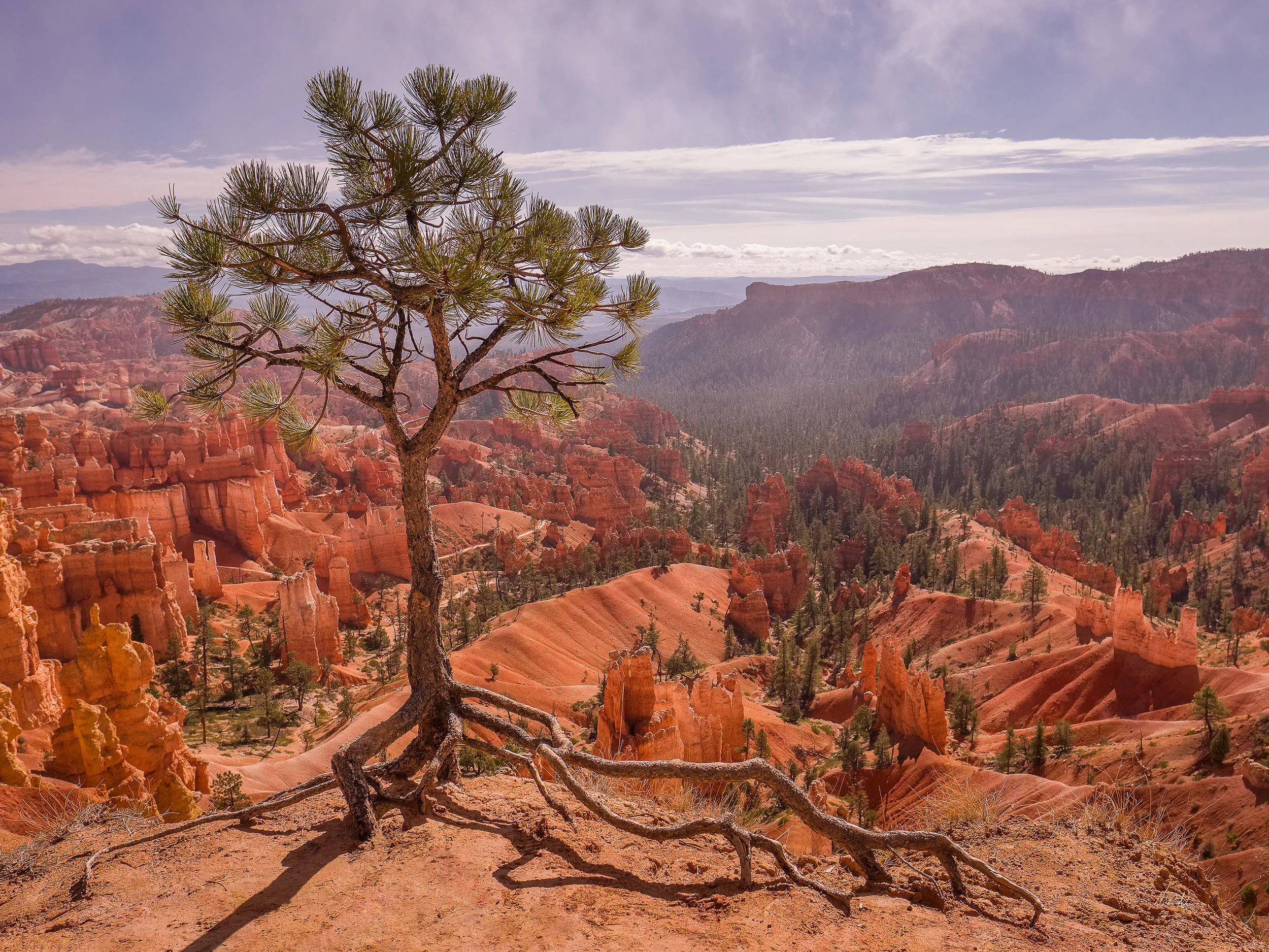 TENACIOUS Bryce Canyon (2018)