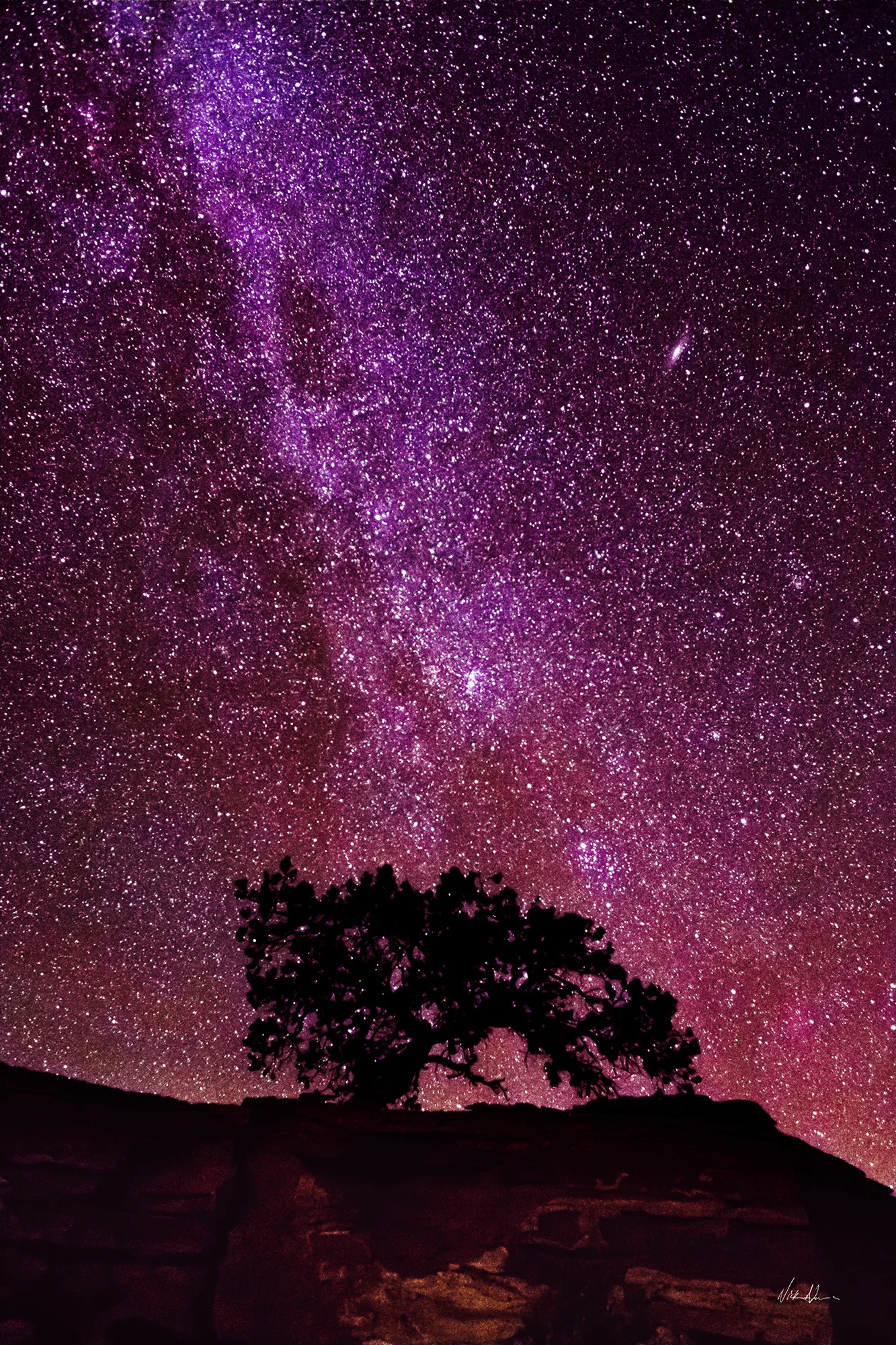 ANDROMEDA Torrey, UT (2018)