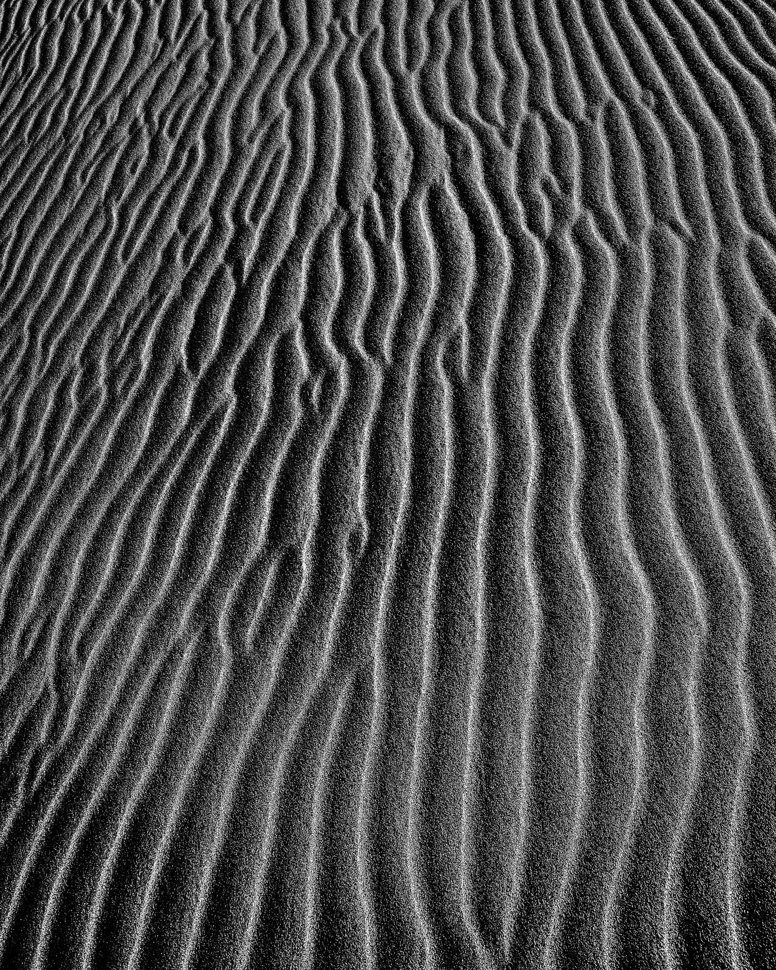 Dune Detail, Nevada