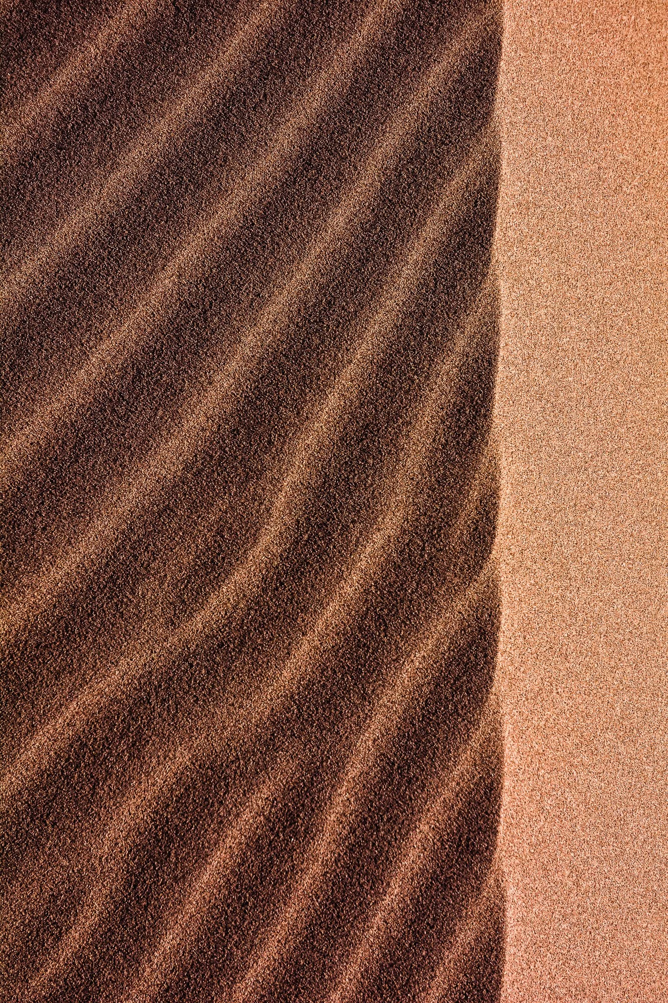 Dune Detail, Big Dune, Nevada