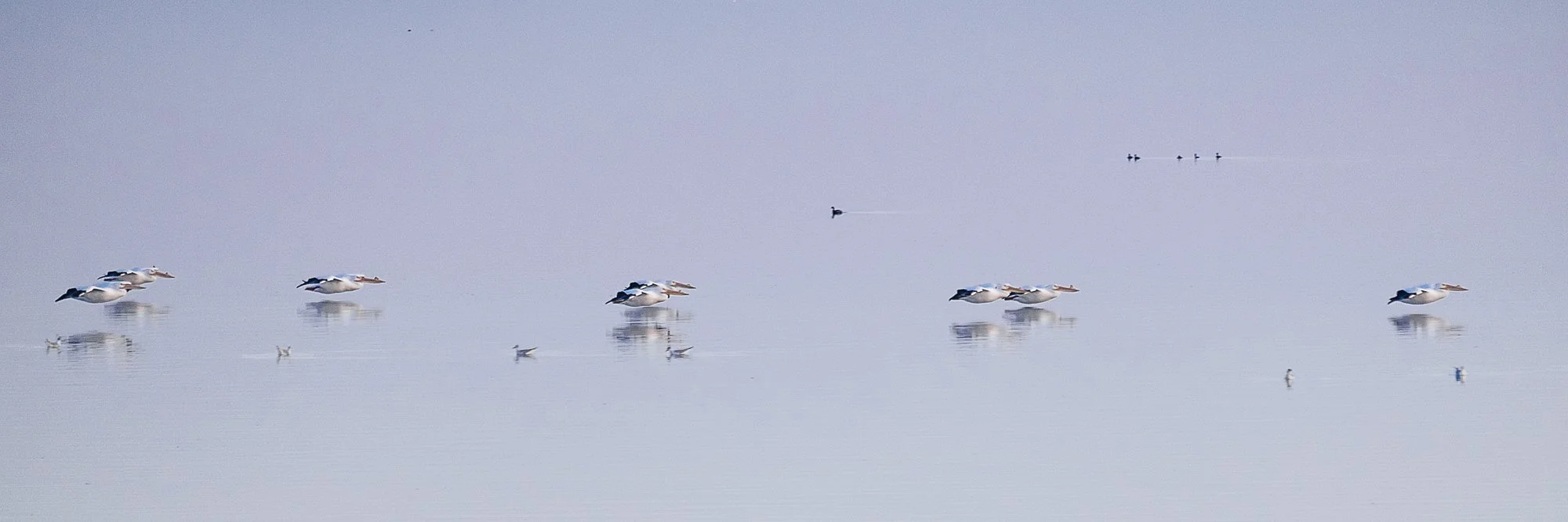 Salton Sea, California