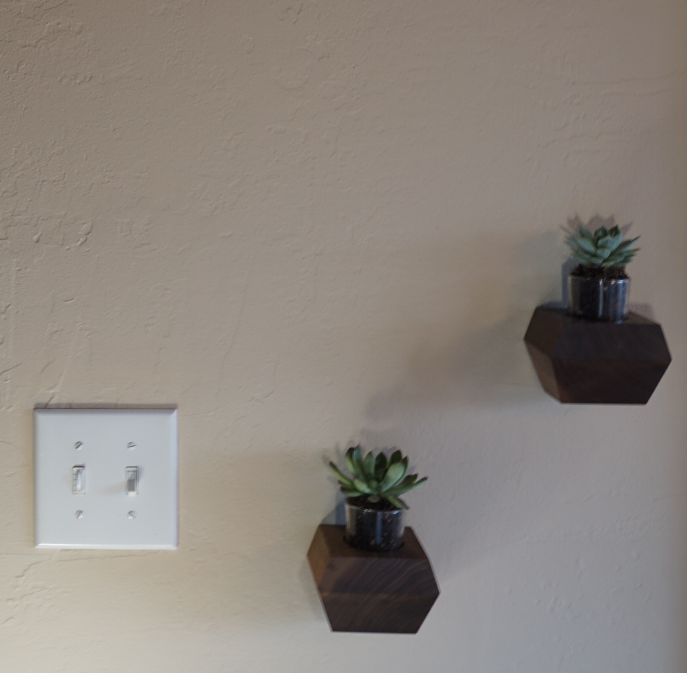 Hanging Vase.jpeg
