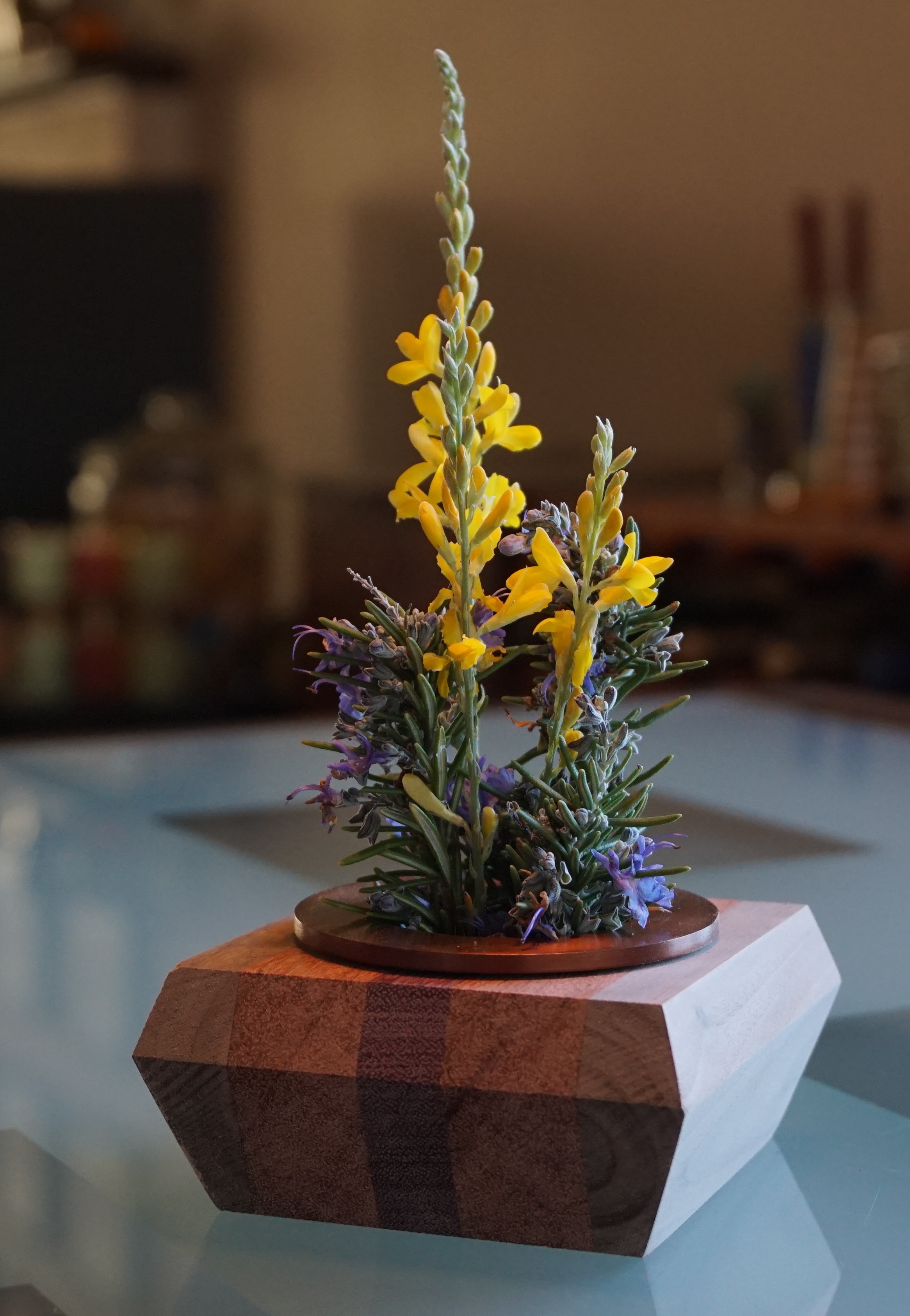 Square Vase Complementary a.jpeg