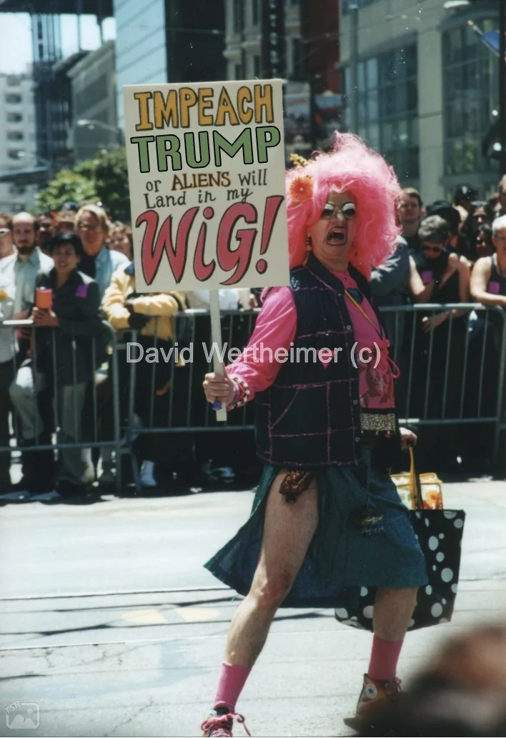 impeach-trump-or-aliens-will-land-in-my-wig.jpg