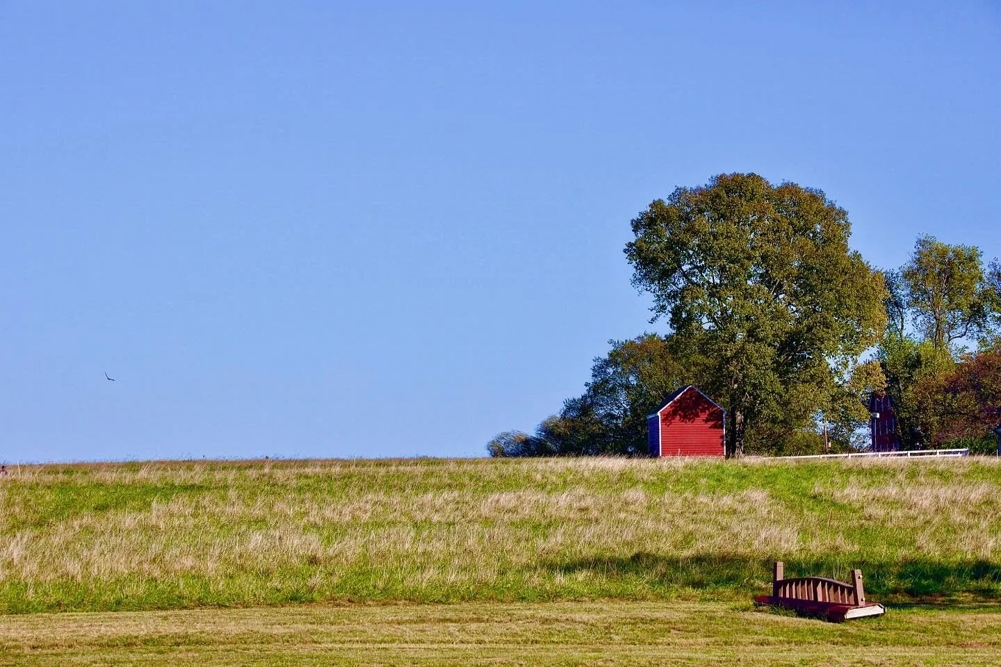 Fall afternoon in Montgomery County. #bittersweetfarm #montgomerycountymd #exploremd #maryland