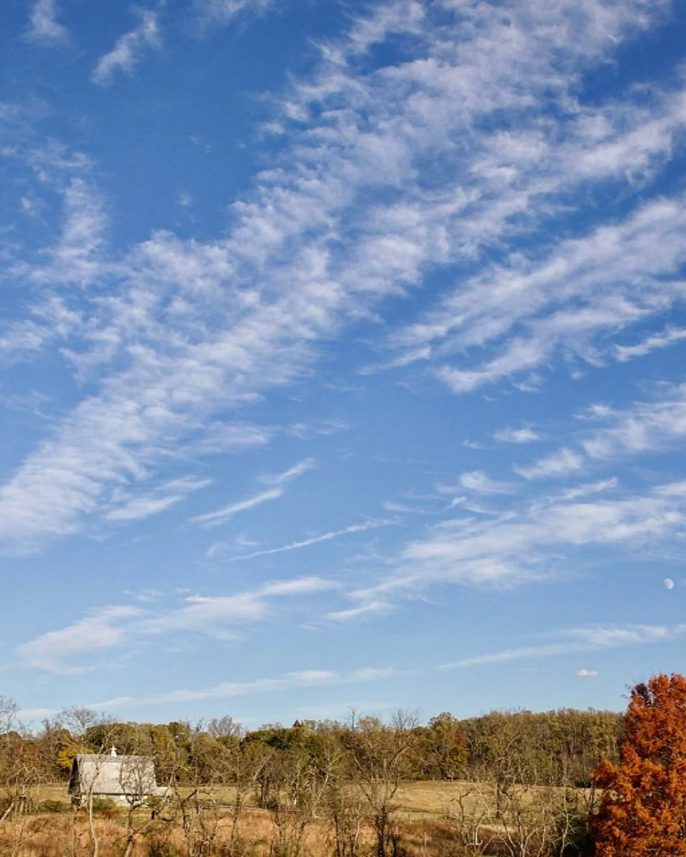 Fall afternoon in the Virginia countryside. #montpelier #exploreva #virginia #virginiaisforlovers❤️ #fallafternoon