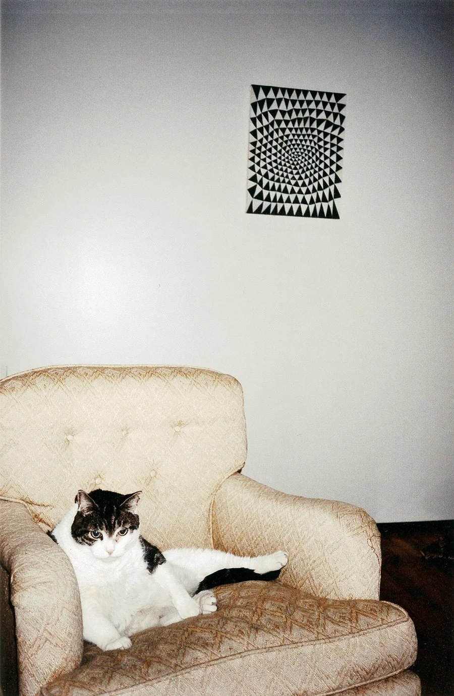sparkyweb2006.jpg