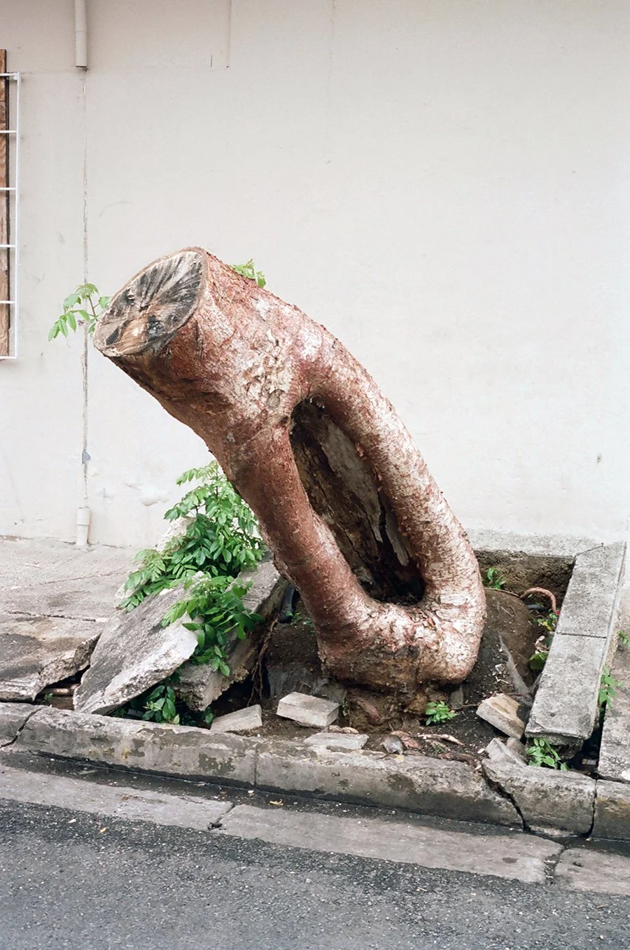 stumppr2019web.jpg