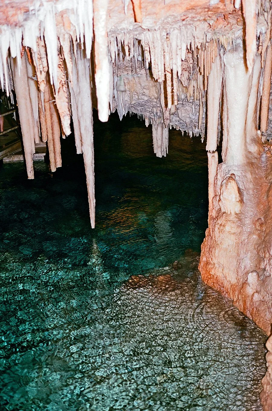 bermudacave2016web.jpg