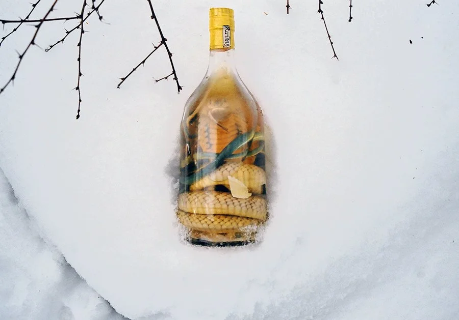 snakebottle2010web.jpg