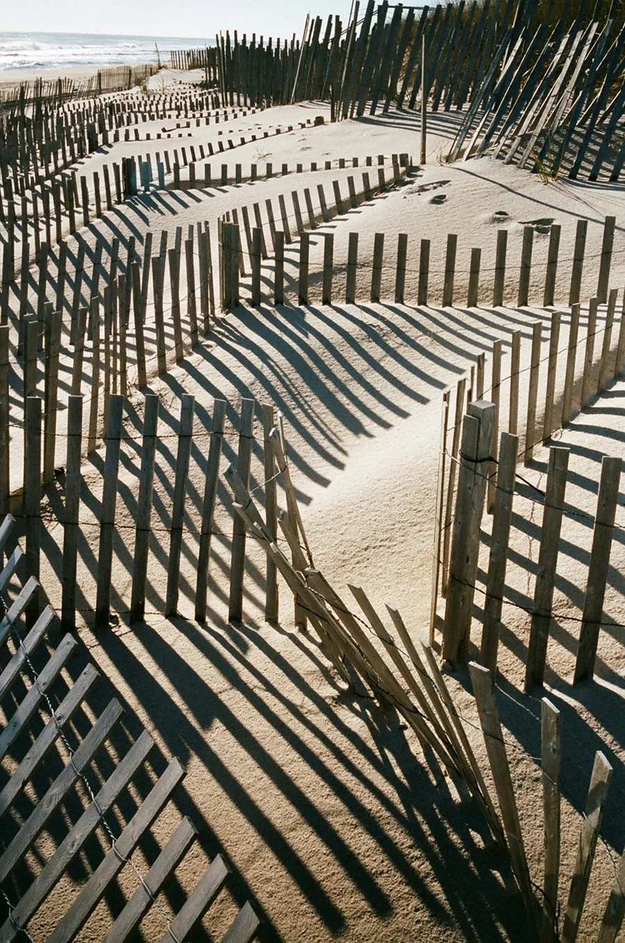 dunesli2015web.jpg