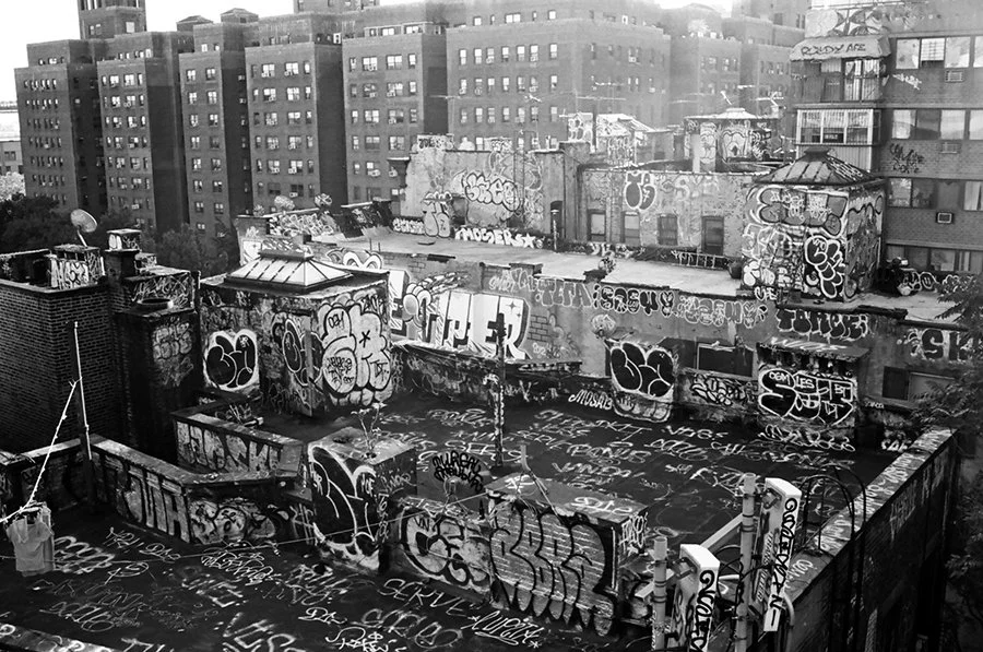 rooftoplesbwweb.jpg